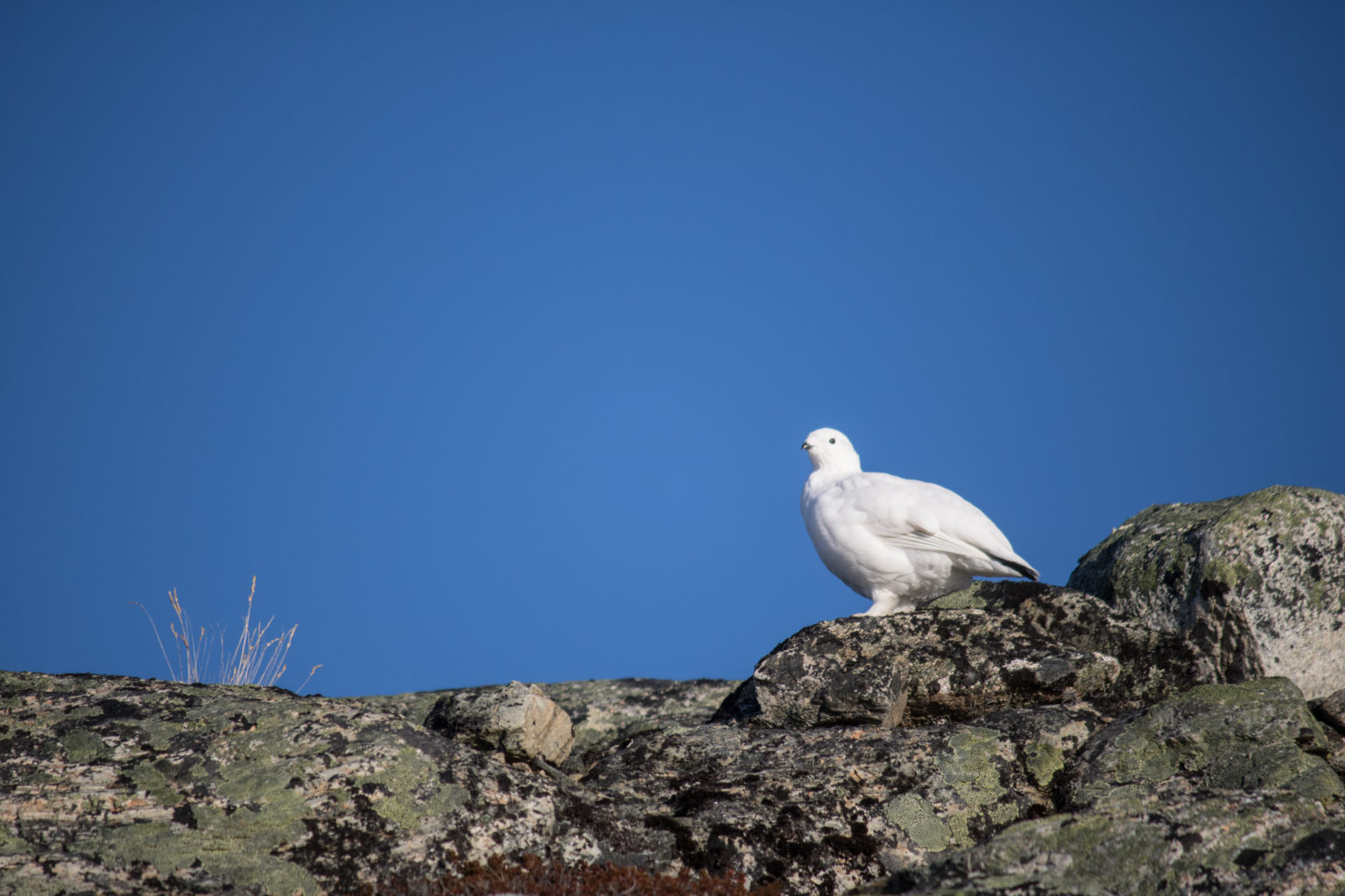 Valokuvaaja: Katri Niskanen