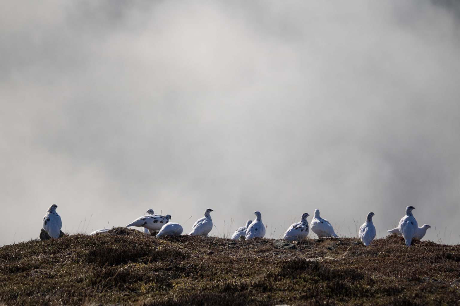 Valokuvaaja: Katri Niskanen Valokuvaaja: Katri Niskanen