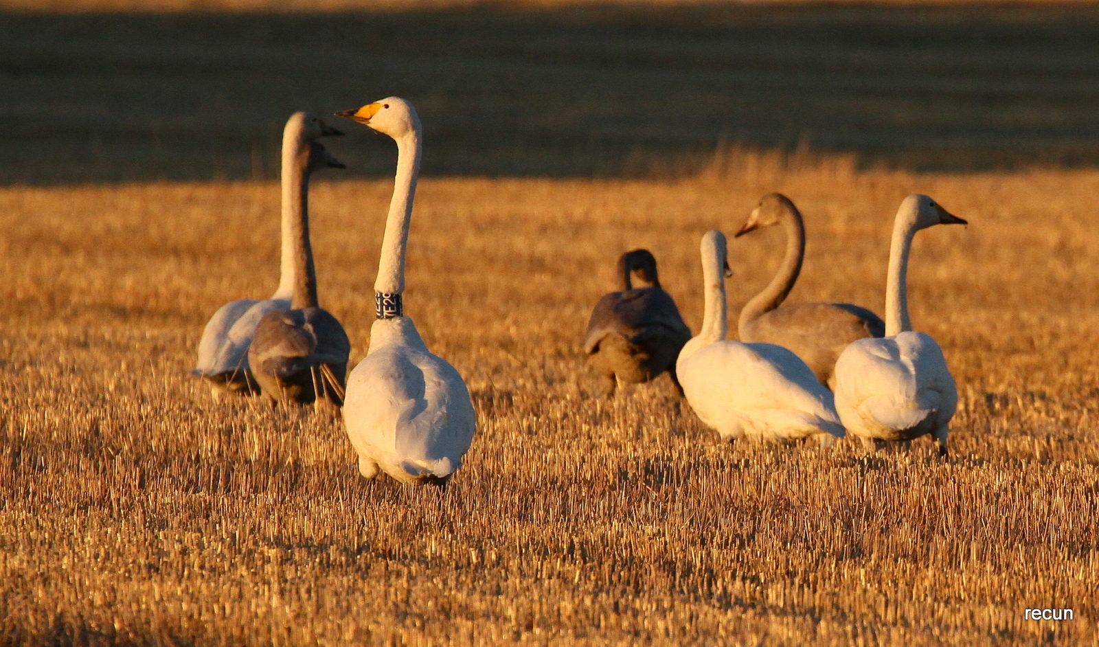 Valokuvaaja: reijo lehtonen