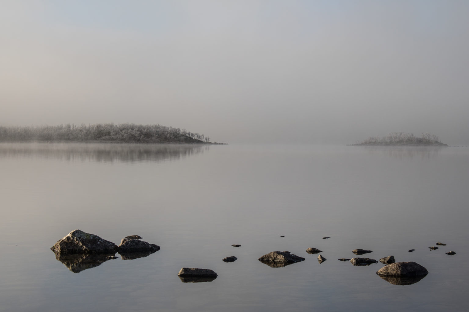 Valokuvaaja: Katri Niskanen