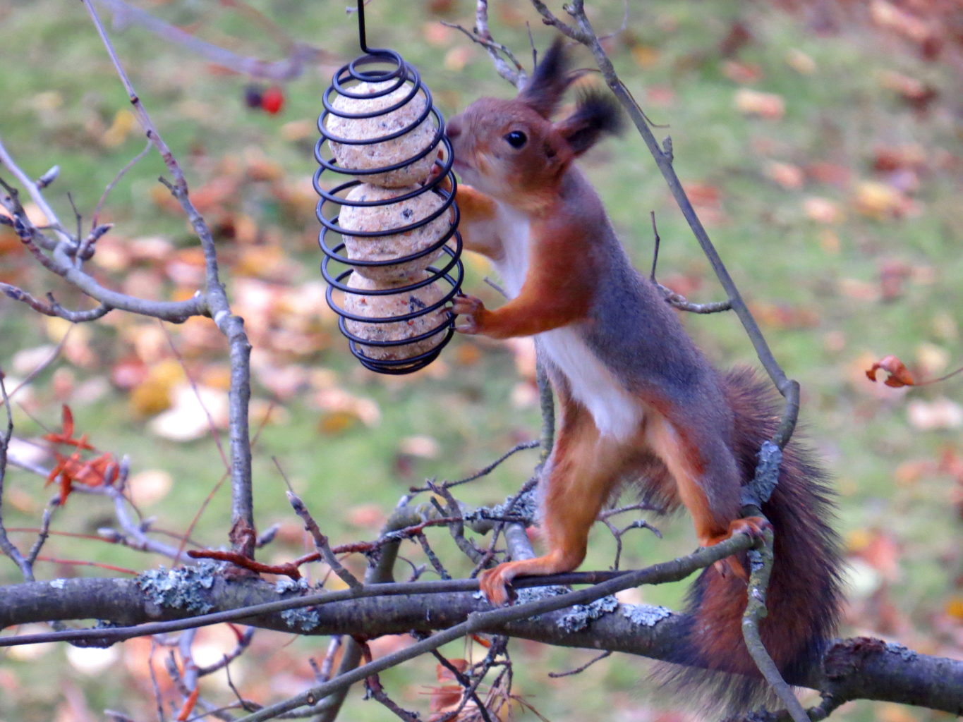 Valokuvaaja: Jaana Talvinen