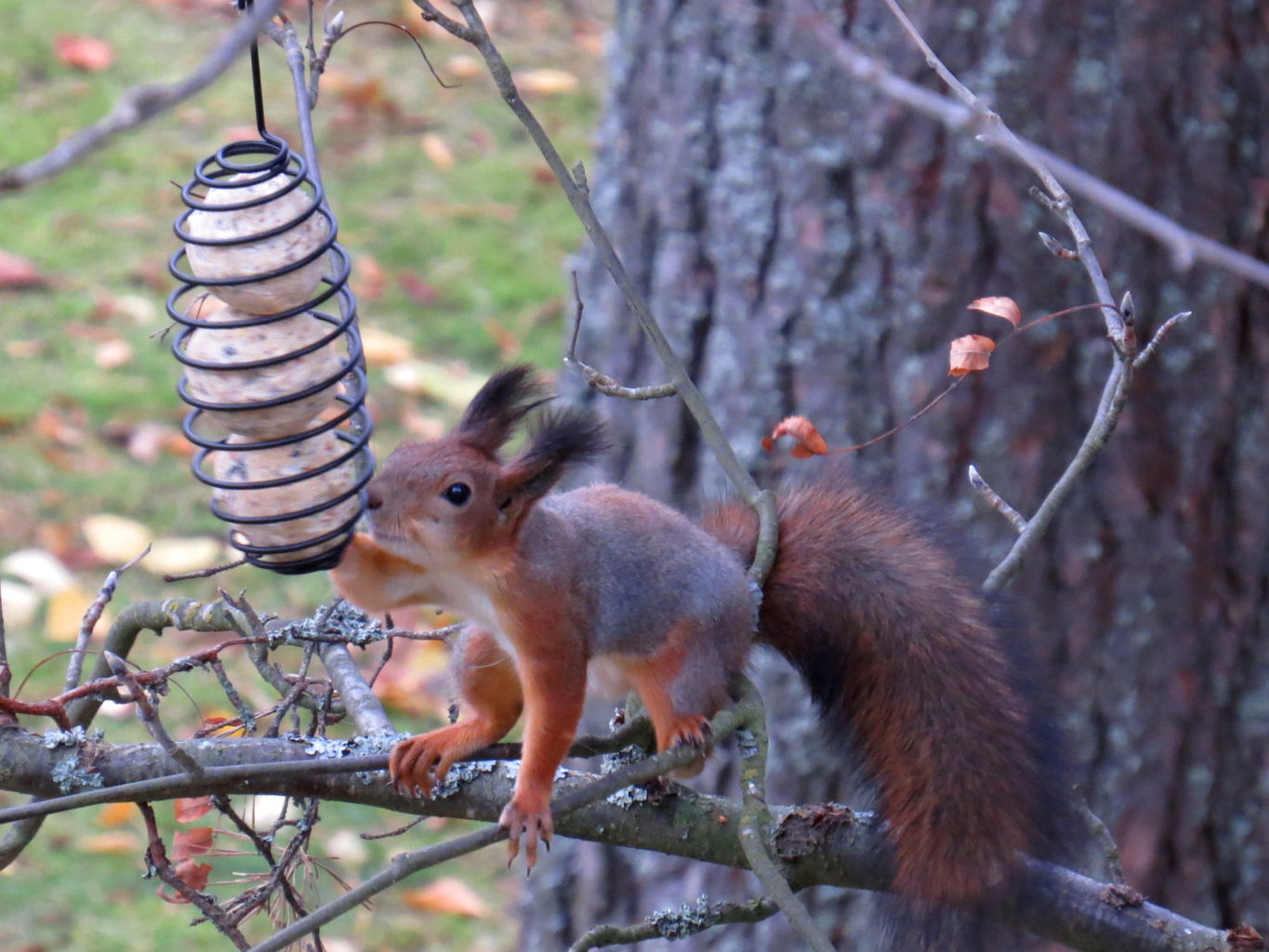 Valokuvaaja: Jaana Talvinen