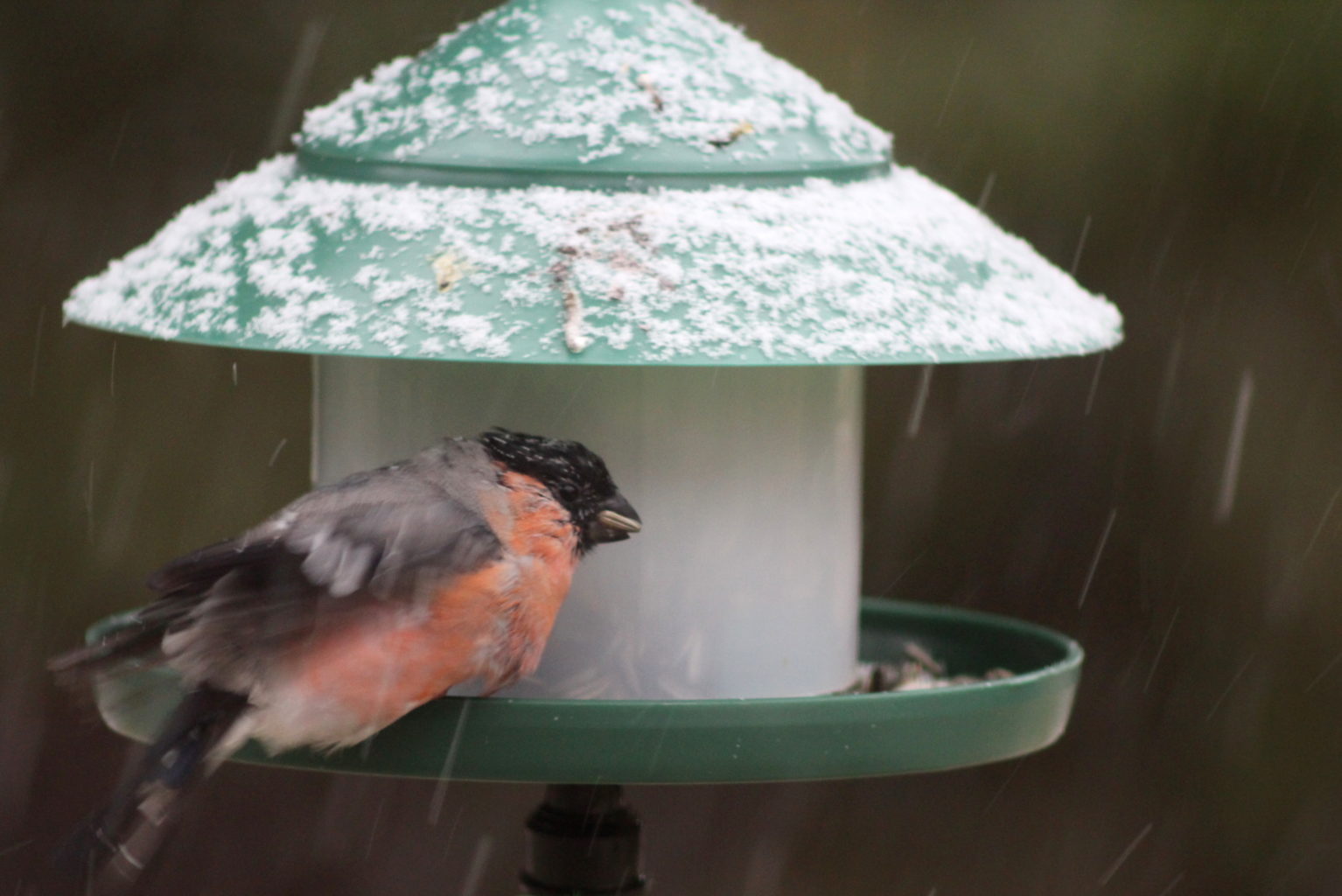Valokuvaaja: Kalle Asikainen