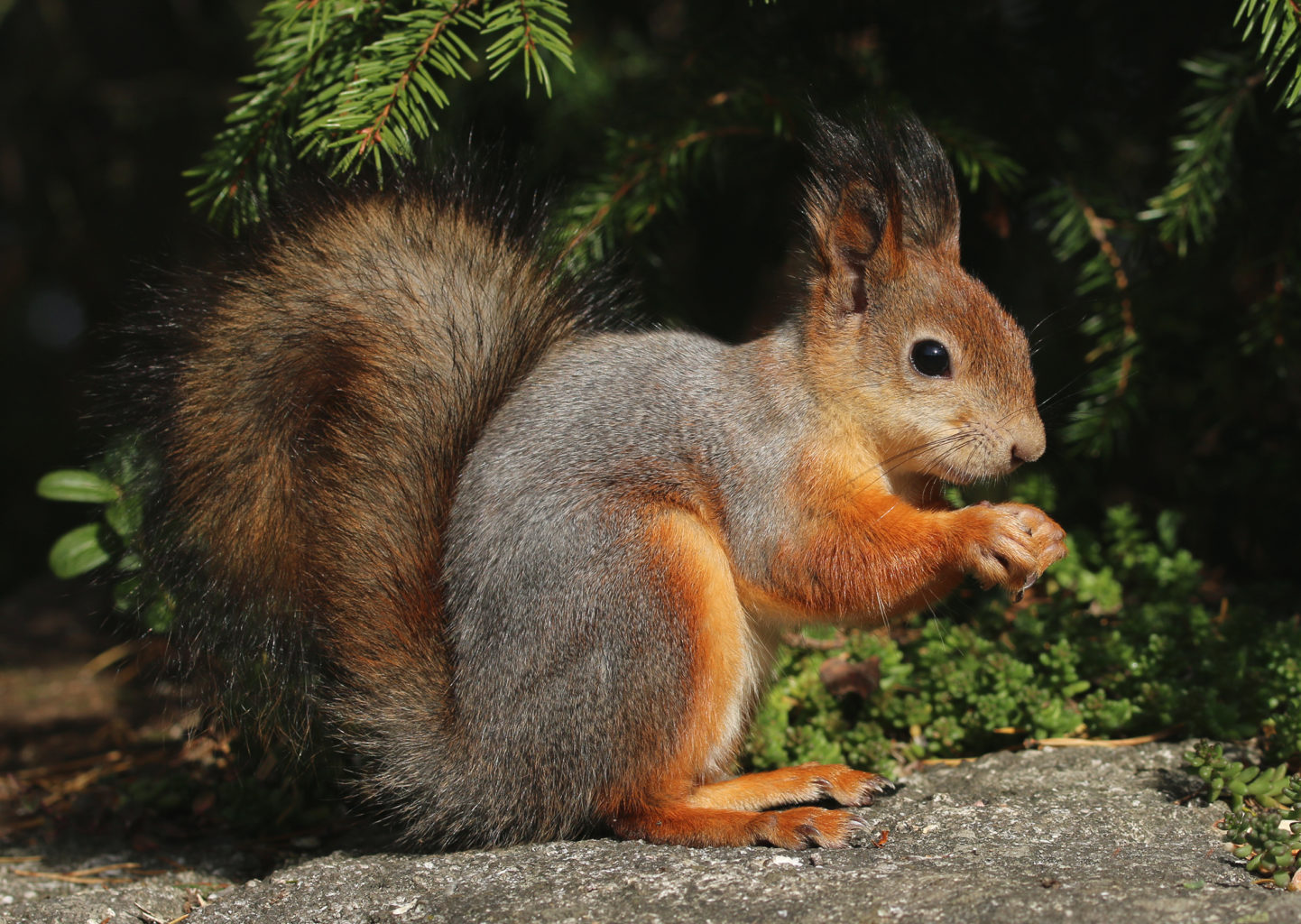 Valokuvaaja: Tarja Porkkala