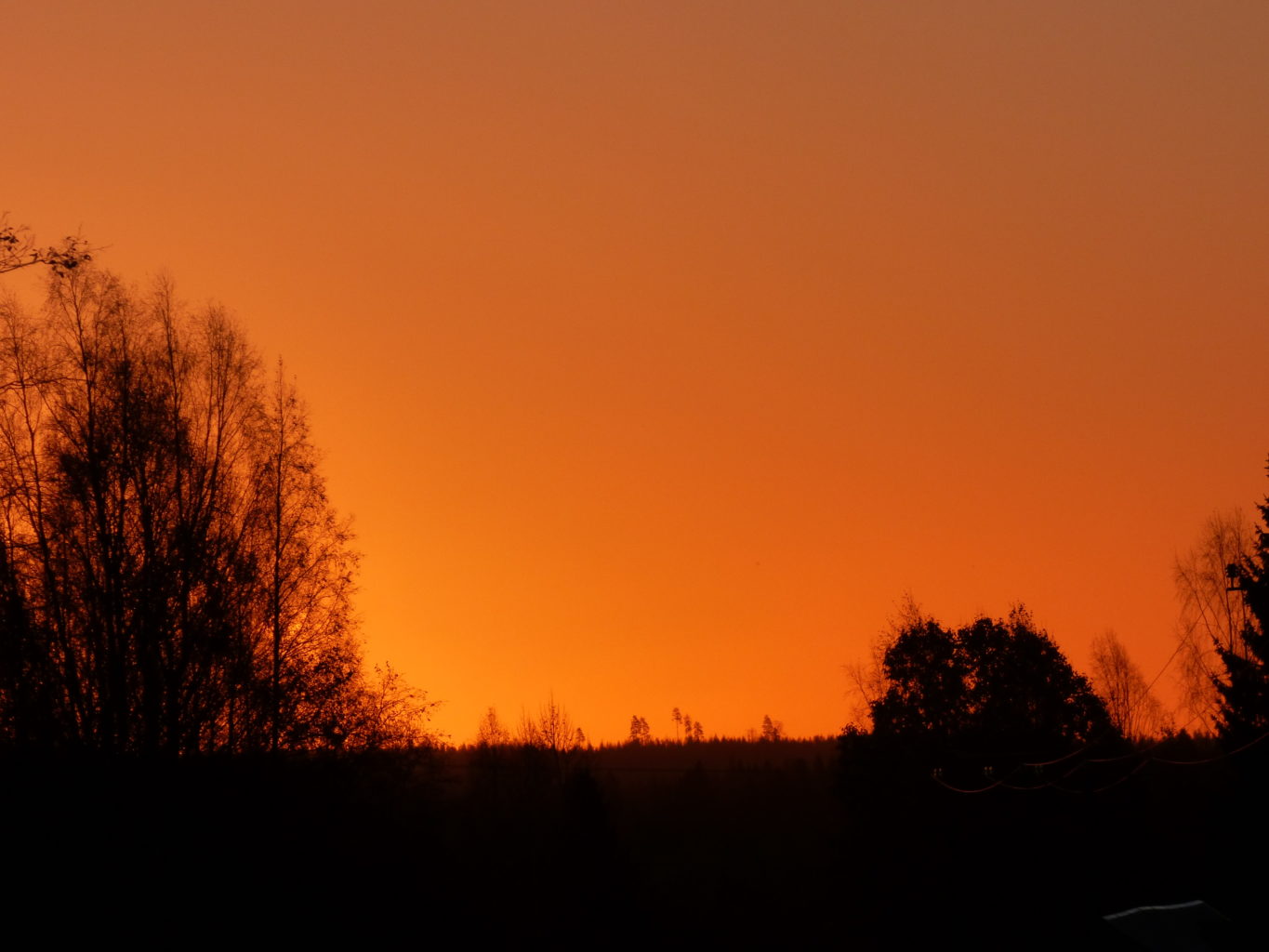 Valokuvaaja: Hannu Rissanen