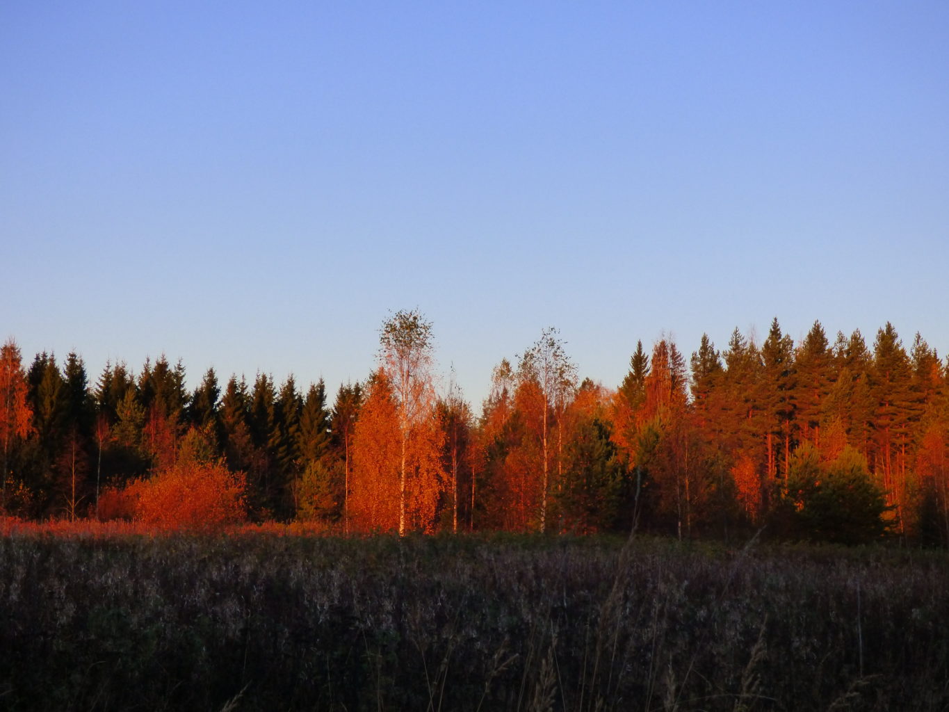Valokuvaaja: Hannu Rissanen