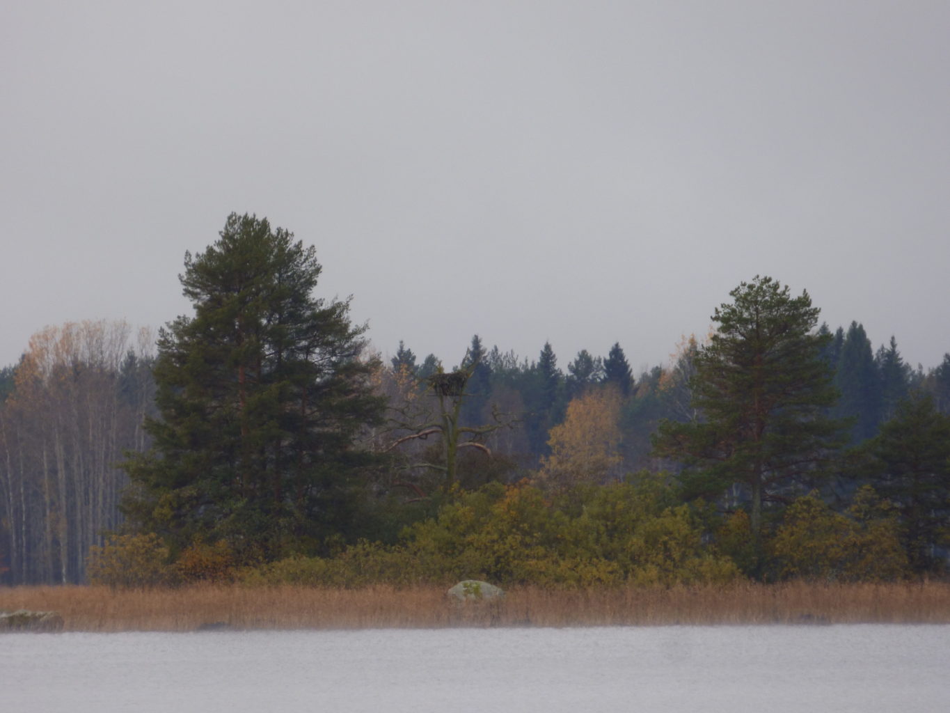 Valokuvaaja: Hannu Rissanen