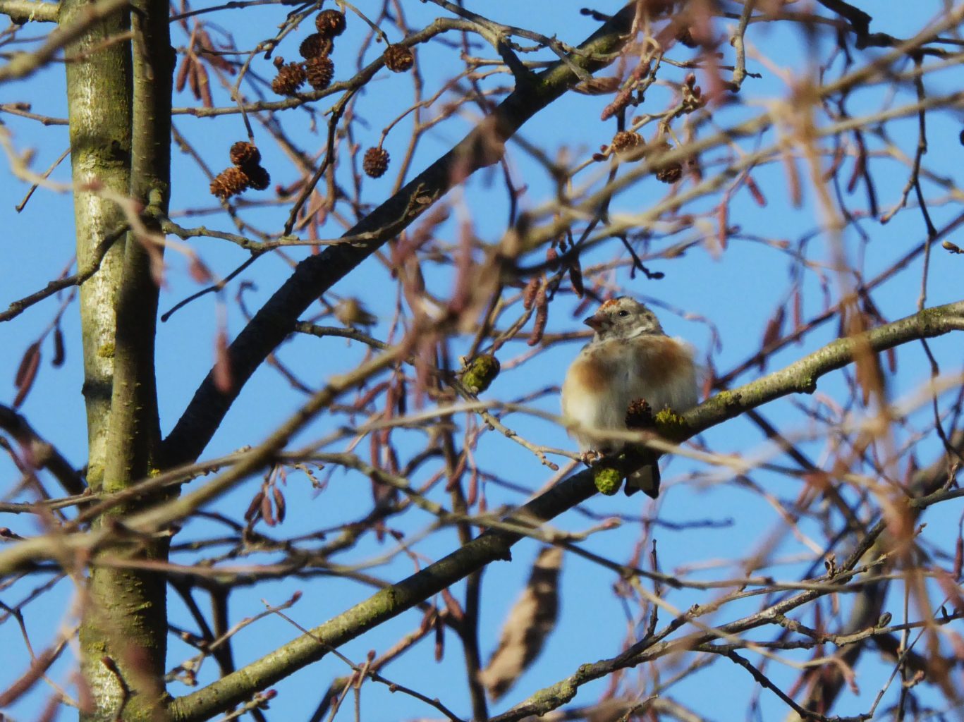 Valokuvaaja: Eija Autio Valokuvaaja: Eija Autio