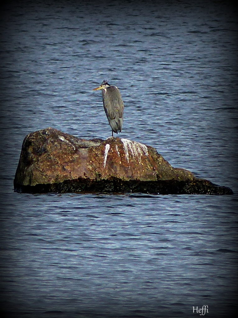 Valokuvaaja: Helena Fagerlund