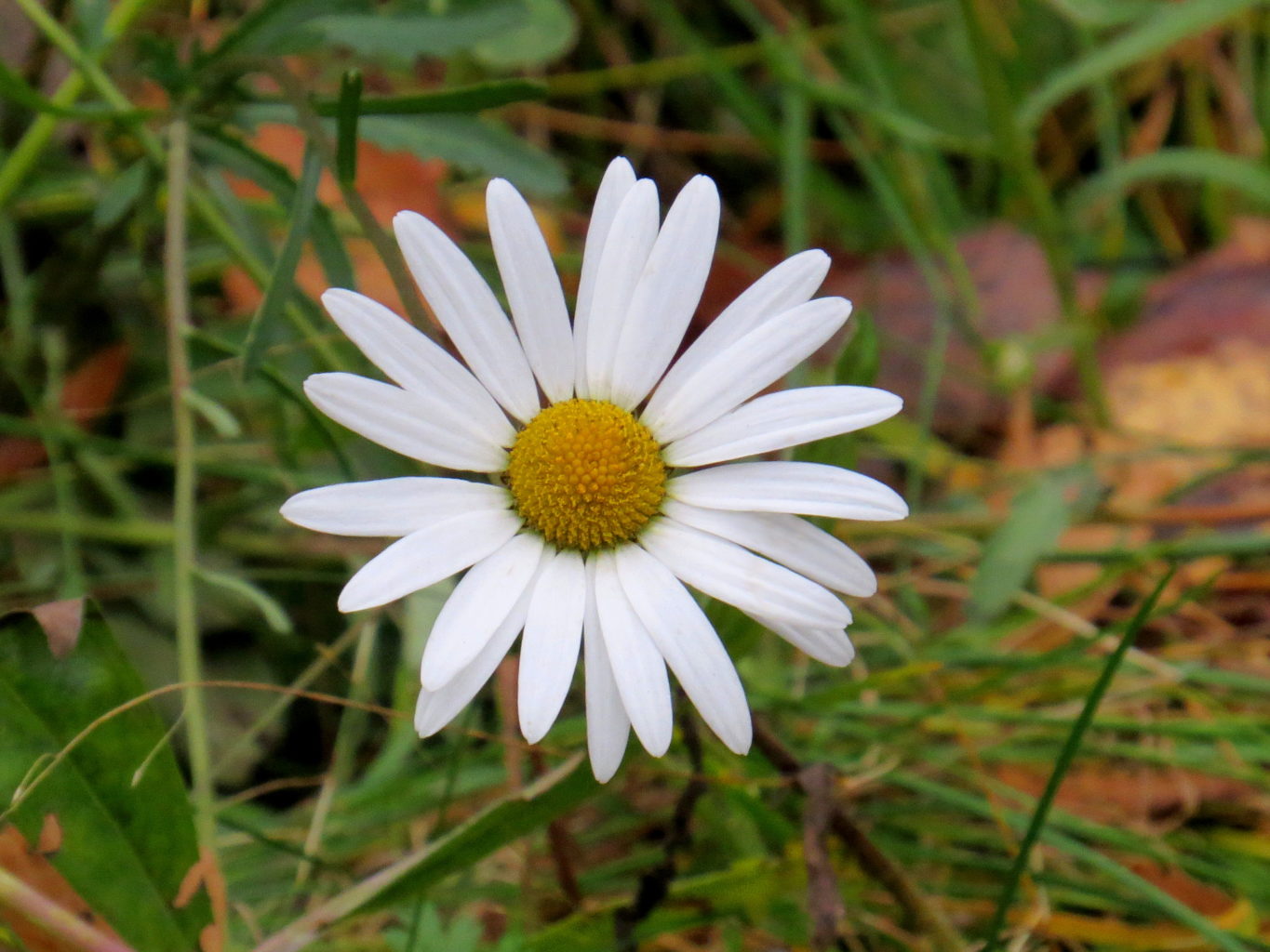 Valokuvaaja: Jaana Talvinen Valokuvaaja: Jaana Talvinen