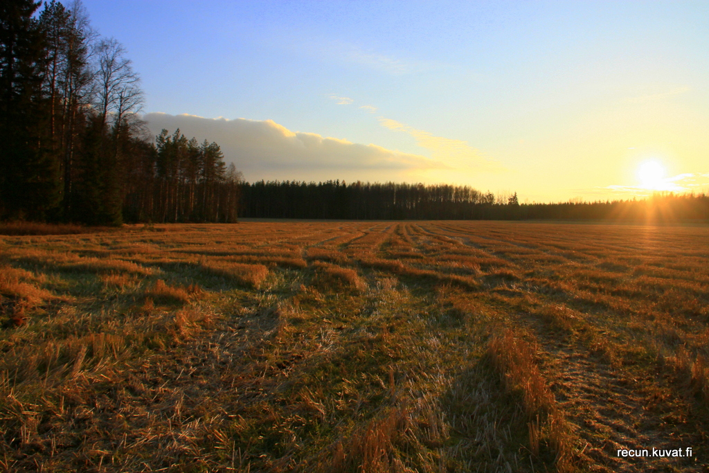 Valokuvaaja: reijo lehtonen