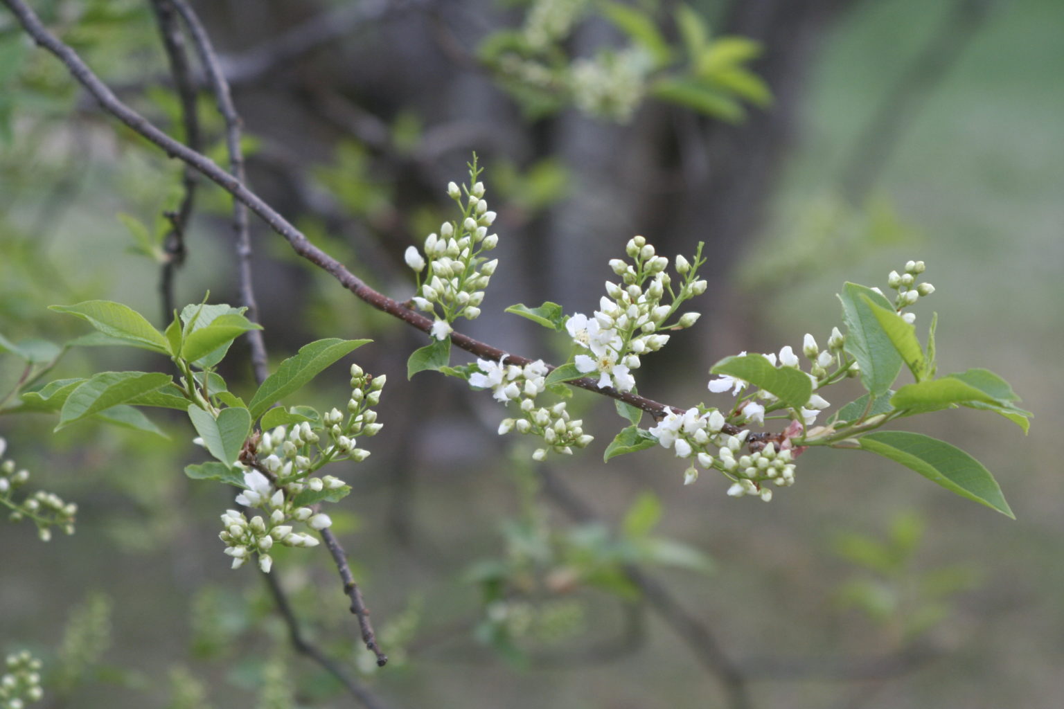 Valokuvaaja: Yrjö Meriläinen