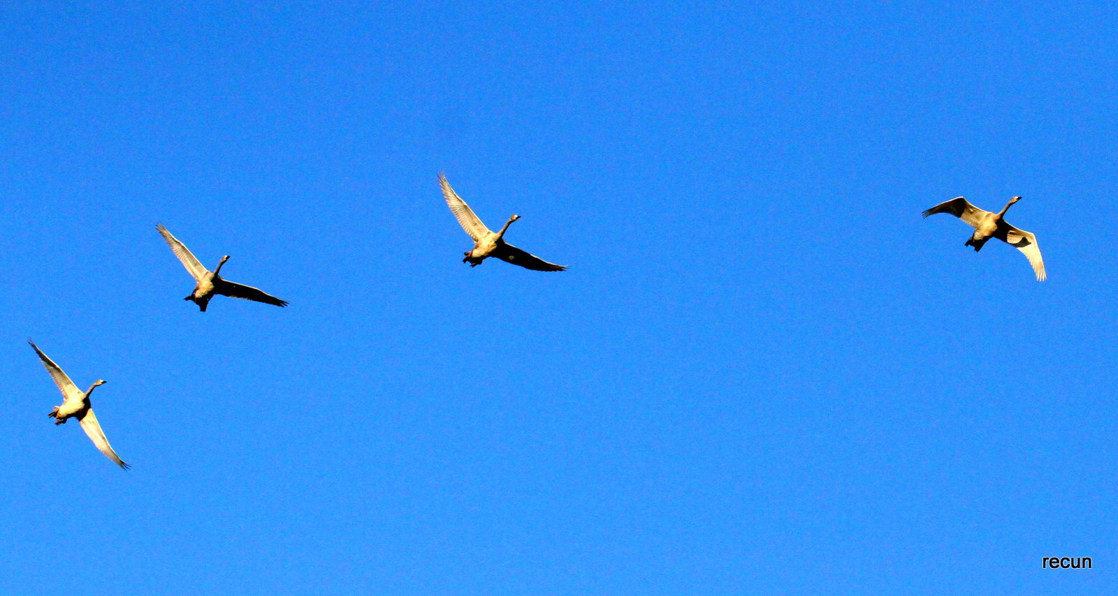 Valokuvaaja: reijo lehtonen Valokuvaaja: reijo lehtonen