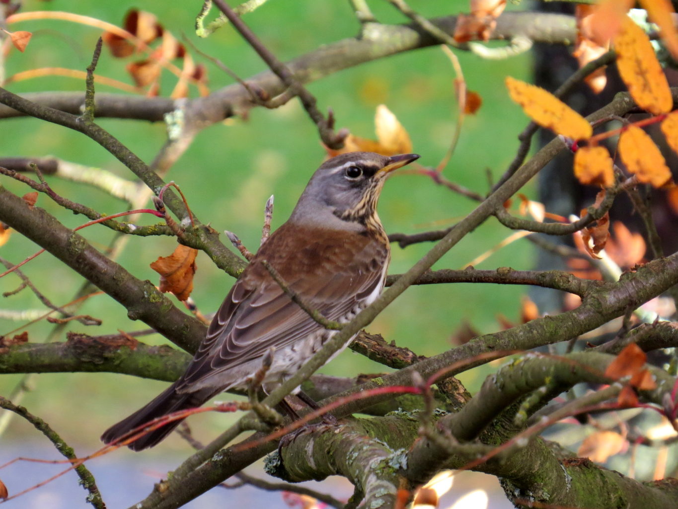 Valokuvaaja: Jaana Talvinen