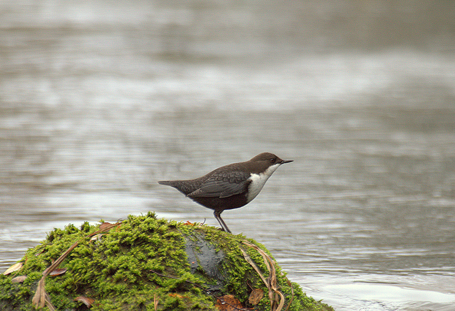 Valokuvaaja: Sirpa Jyske