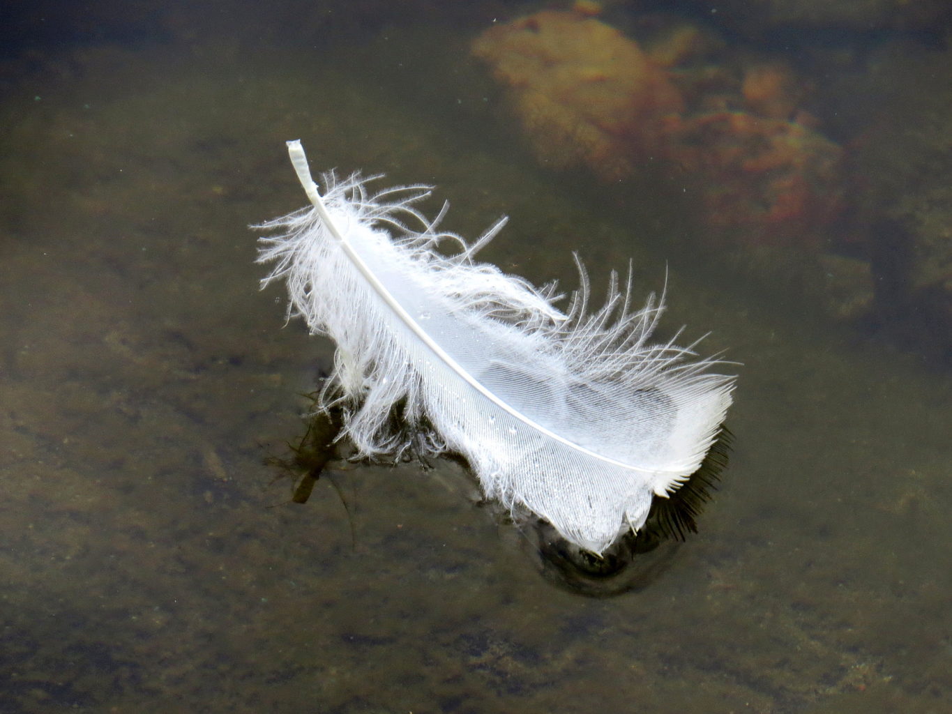 Valokuvaaja: Jaana Talvinen