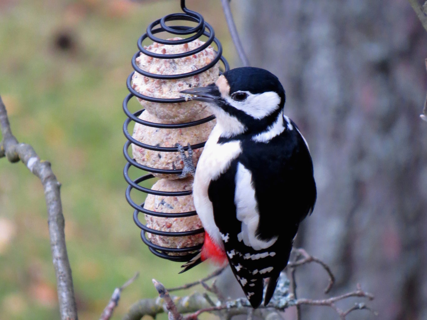 Valokuvaaja: Jaana Talvinen