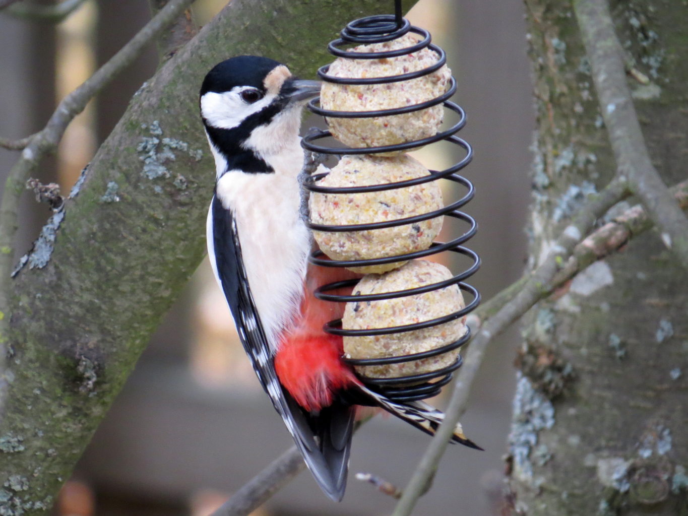 Valokuvaaja: Jaana Talvinen Valokuvaaja: Jaana Talvinen