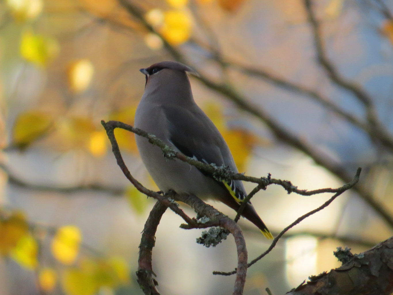 Valokuvaaja: Jaana Talvinen