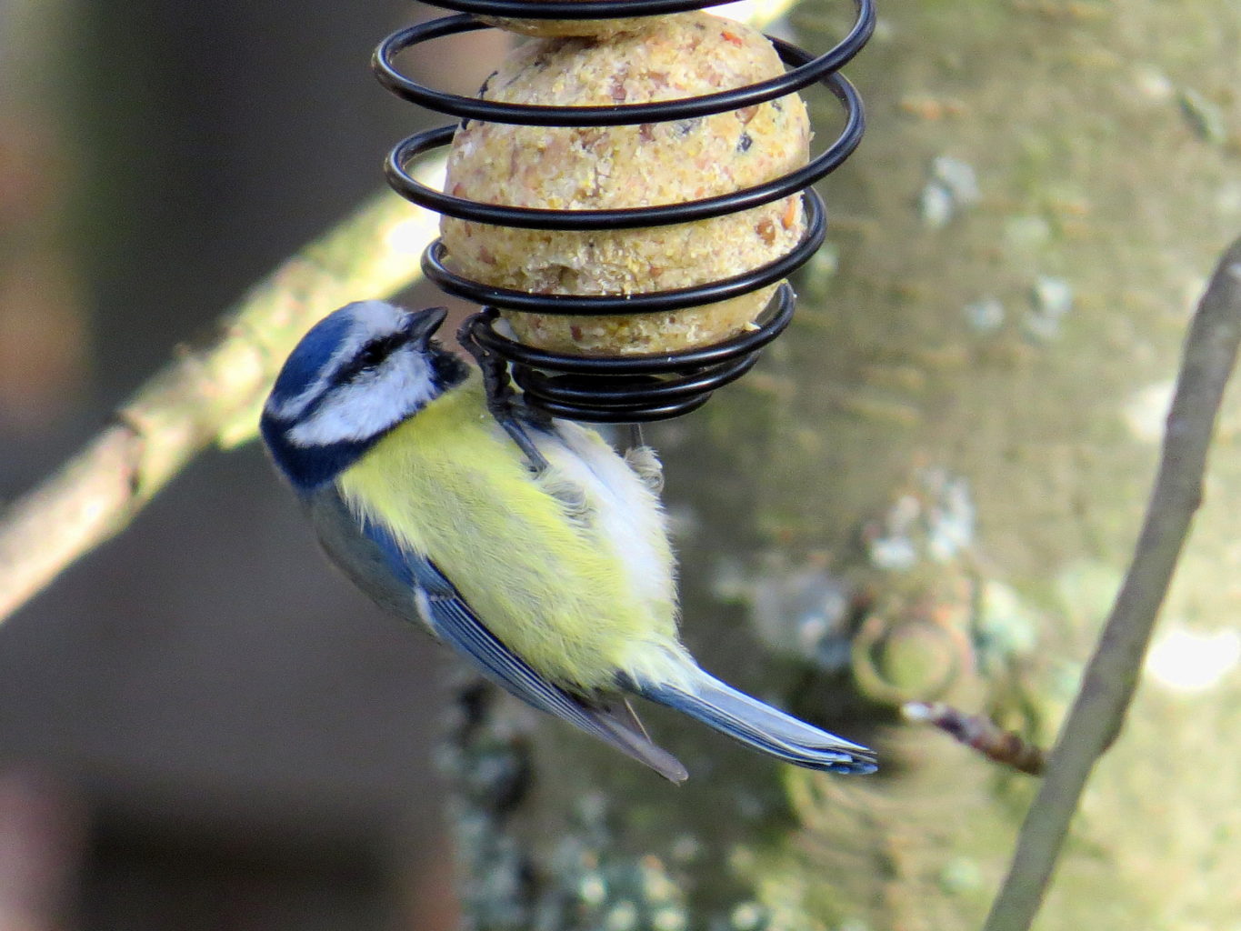 Valokuvaaja: Jaana Talvinen