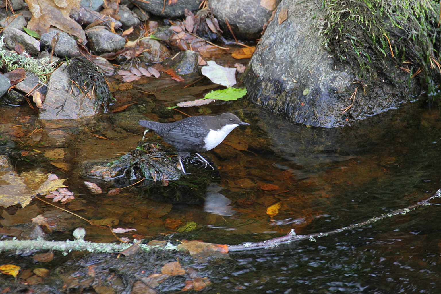 Valokuvaaja: Sirpa Jyske
