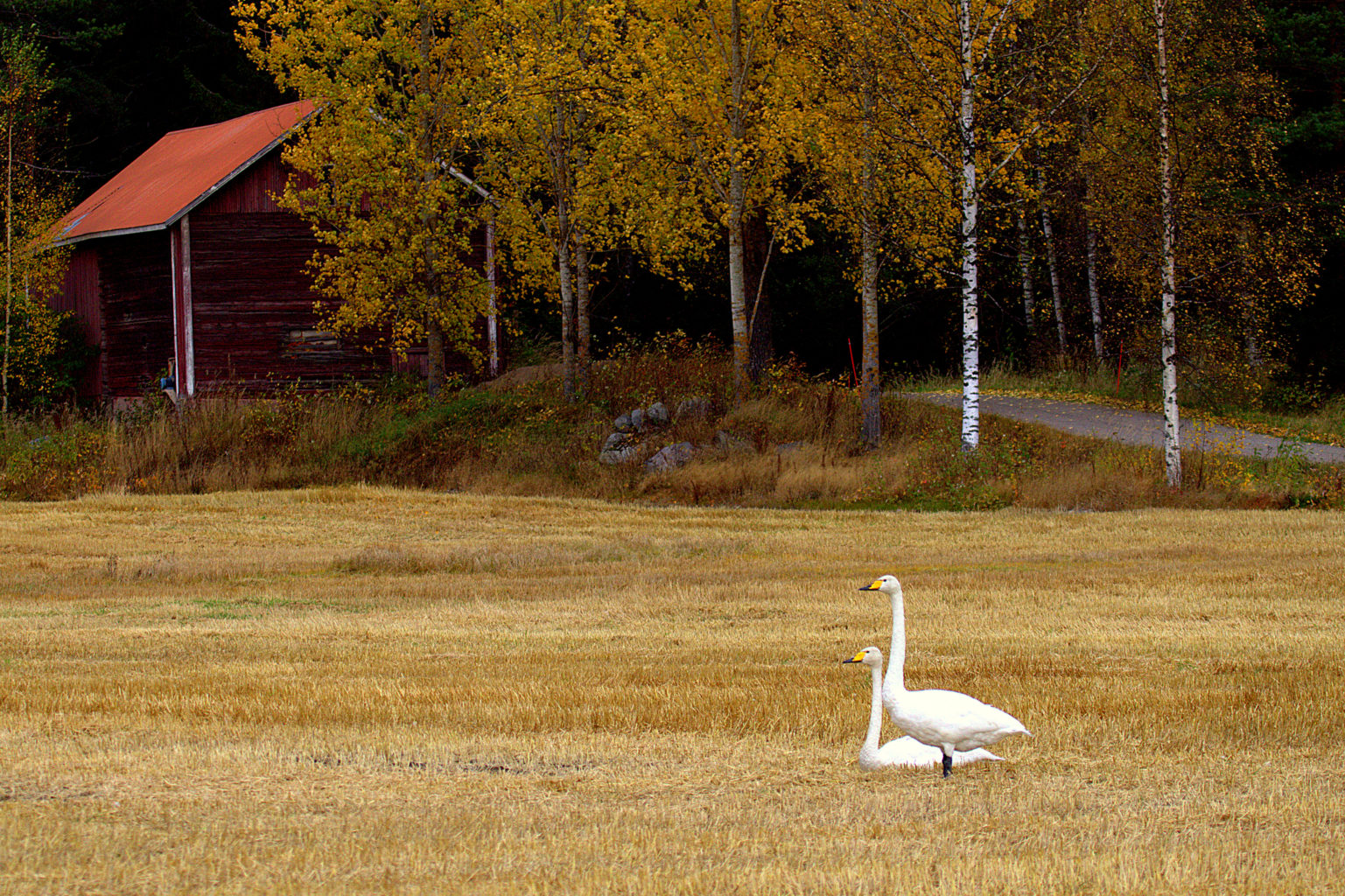 Valokuvaaja: Sirpa Jyske
