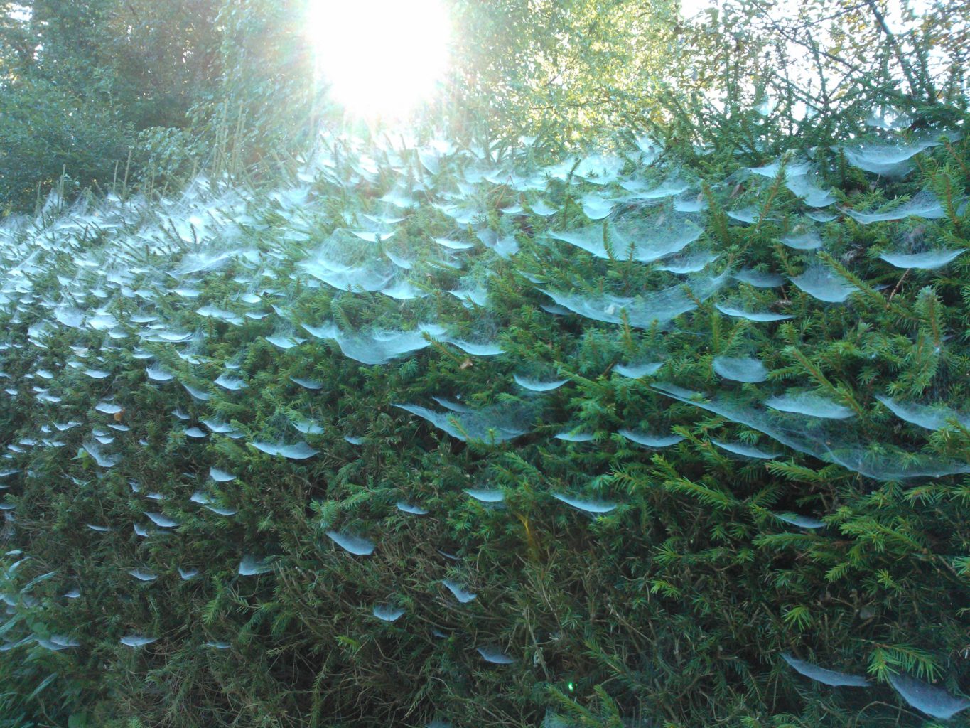 Valokuvaaja: Airi Onkalo