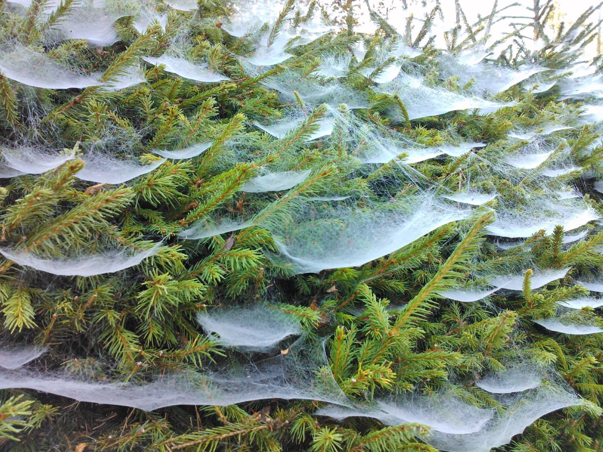 Valokuvaaja: Airi Onkalo