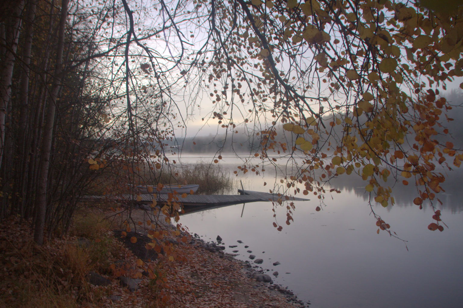 Valokuvaaja: Sirpa Jyske Valokuvaaja: Sirpa Jyske