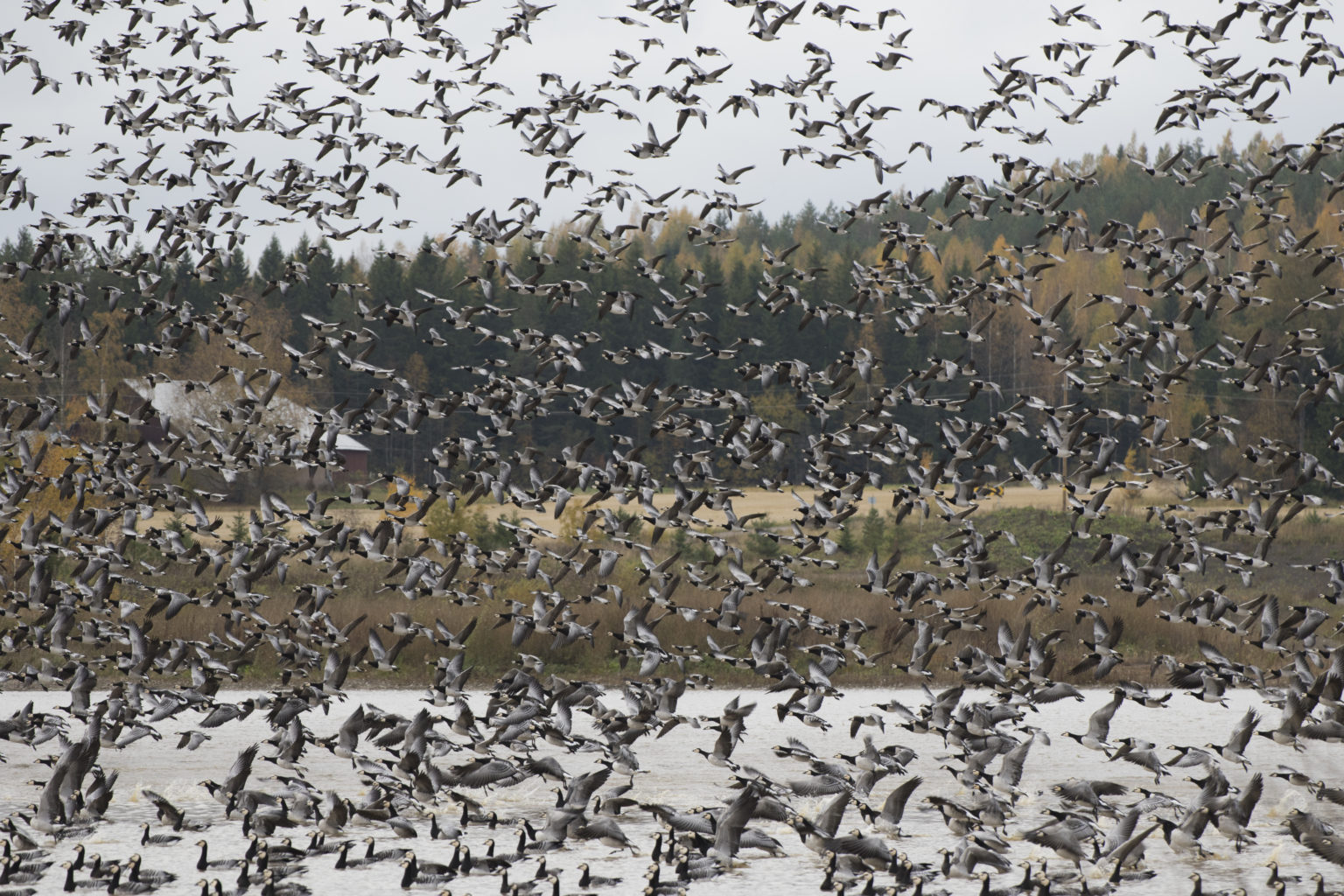 Valokuvaaja: Merja Ollikainen