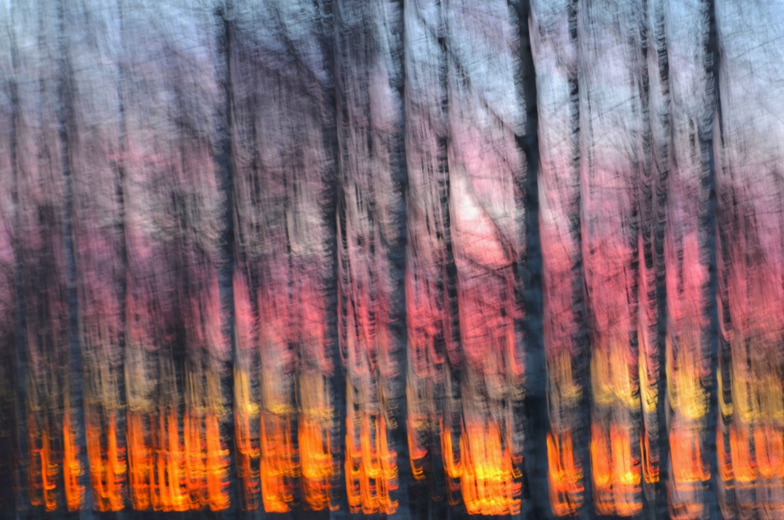 Valokuvaaja: Leena Rissanen Valokuvaaja: Leena Rissanen