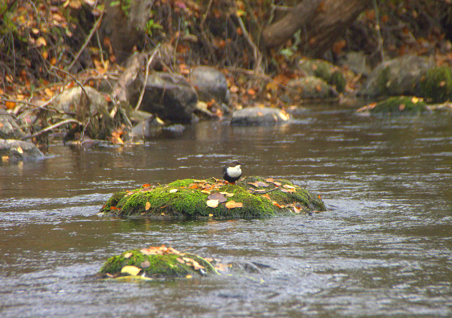 Valokuvaaja: Sirpa Jyske