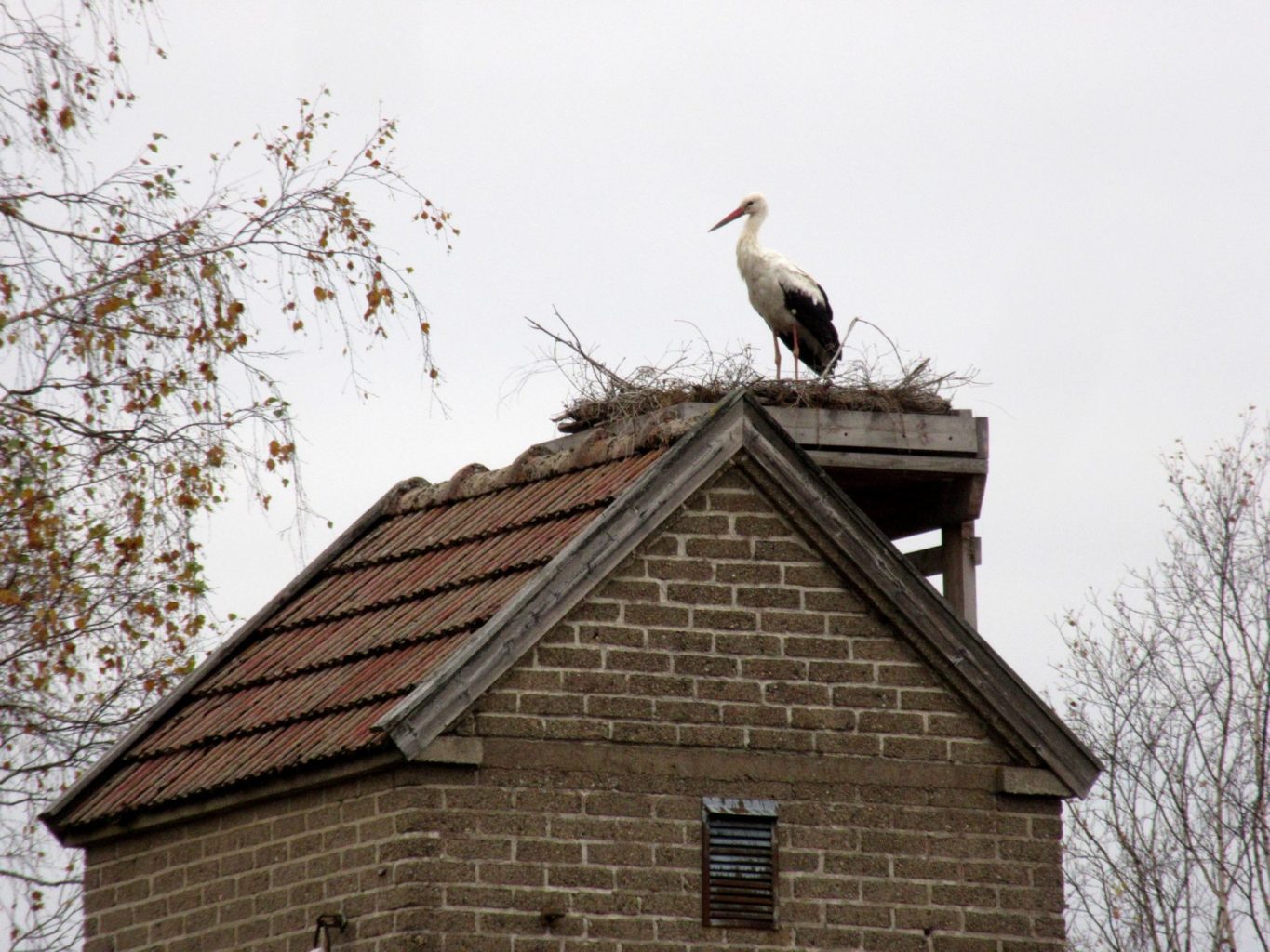 Valokuvaaja: Kai Kankare Valokuvaaja: Kai Kankare