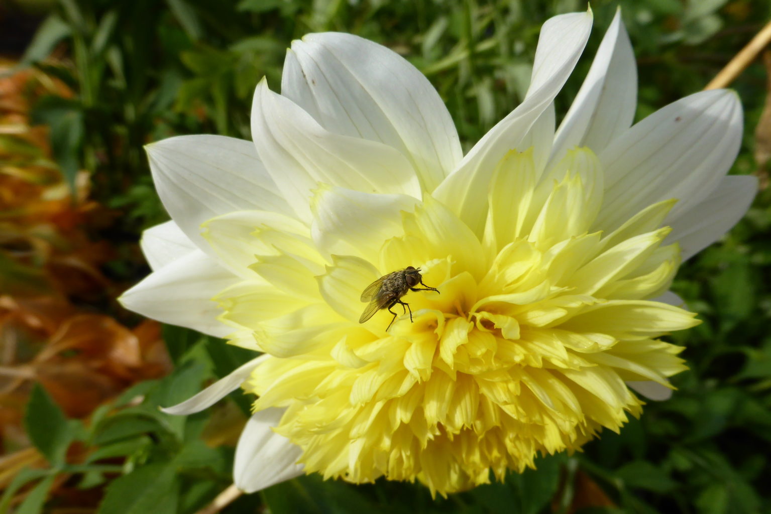 Valokuvaaja: Kalle Asikainen Valokuvaaja: Kalle Asikainen