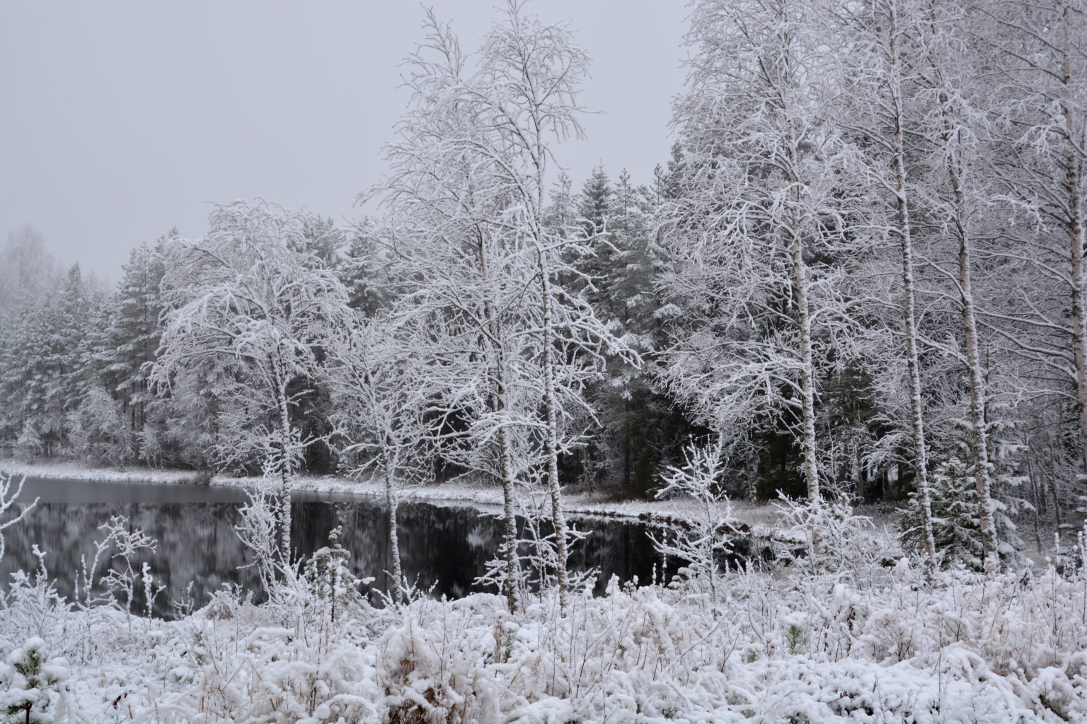 Valokuvaaja: MAIJA SAVOLAINEN