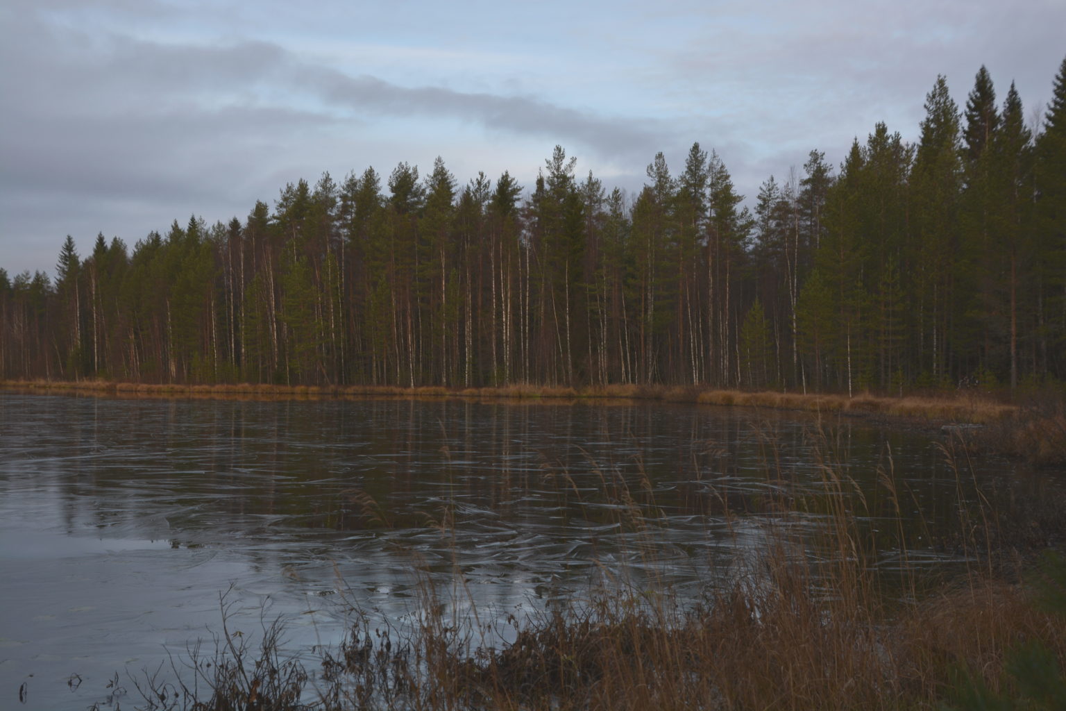 Valokuvaaja: MIKKO SAVOLAINEN