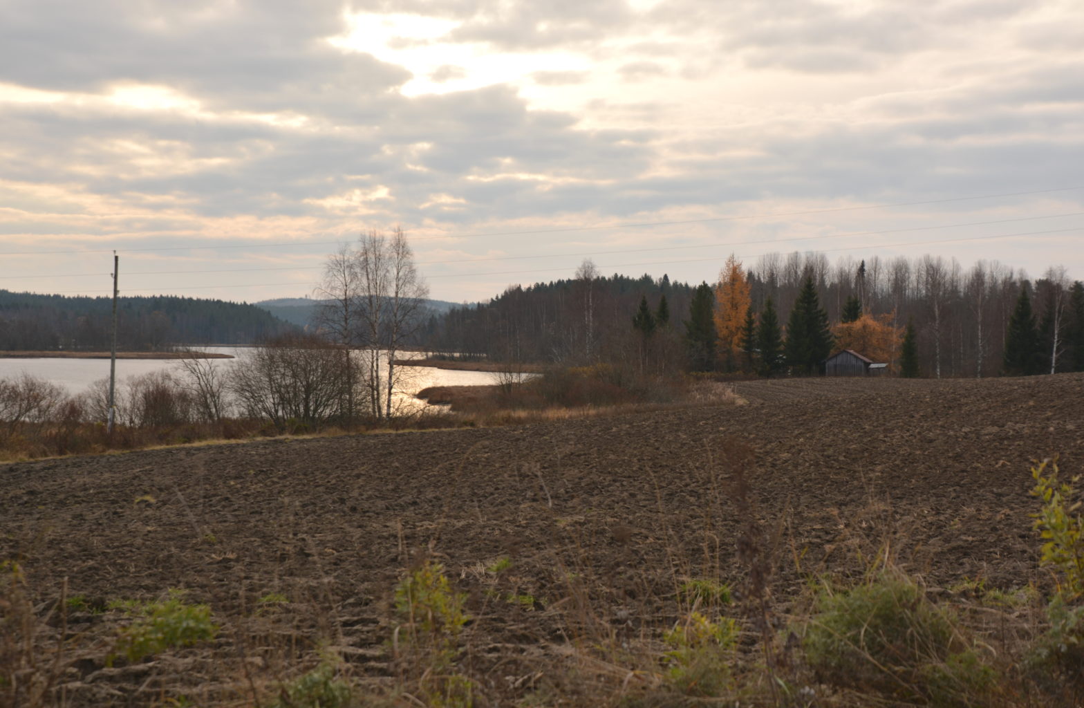Valokuvaaja: MIKKO SAVOLAINEN