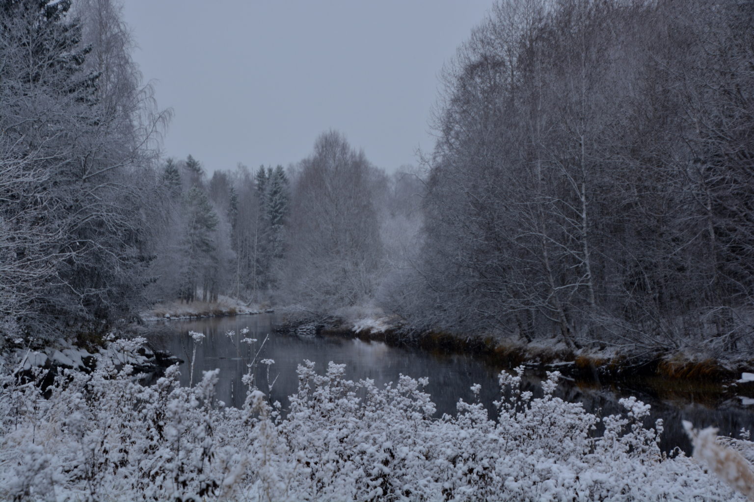 Valokuvaaja: MIKKO SAVOLAINEN