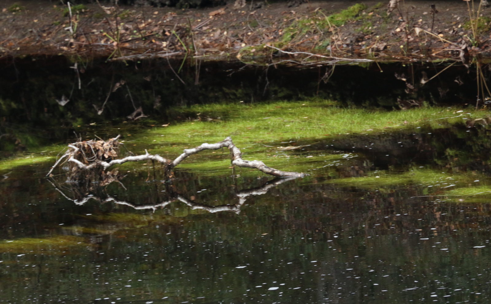 Valokuvaaja: Ahti Keränen Valokuvaaja: Ahti Keränen