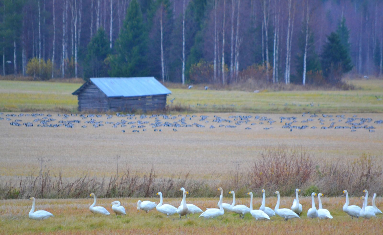 Valokuvaaja: Leena Rissanen