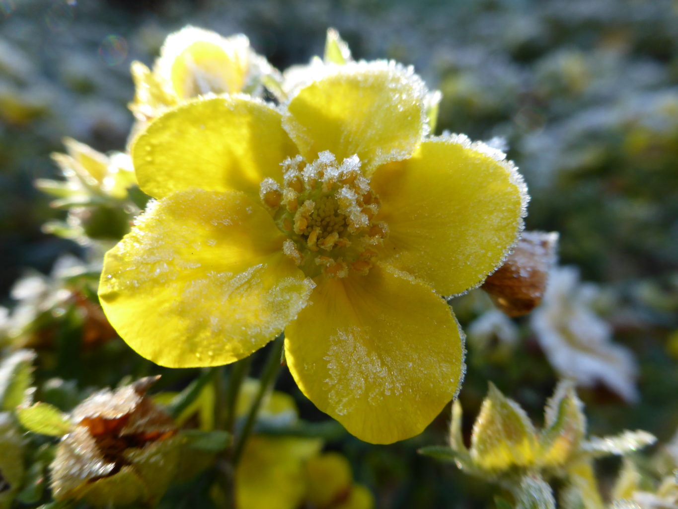 Valokuvaaja: Kalle Asikainen