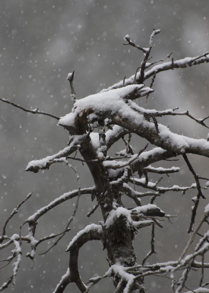 Valokuvaaja: Merja Ollikainen