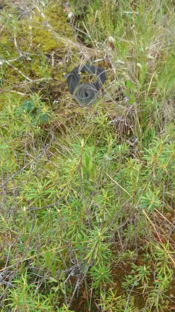 Valokuvaaja: Eila Oittinen Valokuvaaja: Eila Oittinen