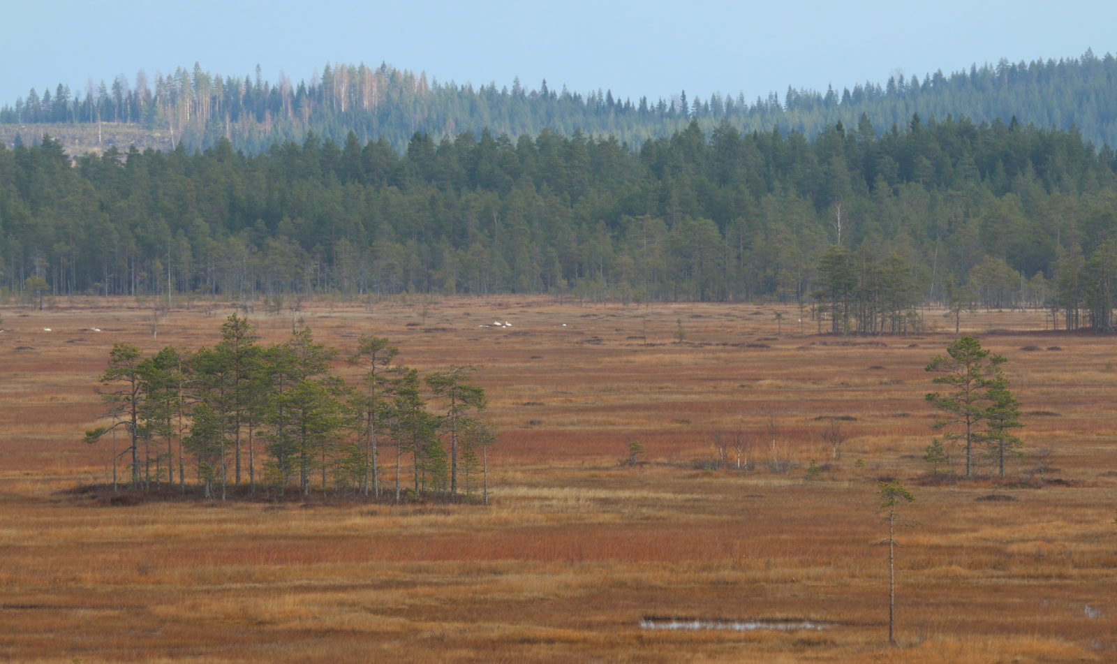 Valokuvaaja: Ahti Keränen
