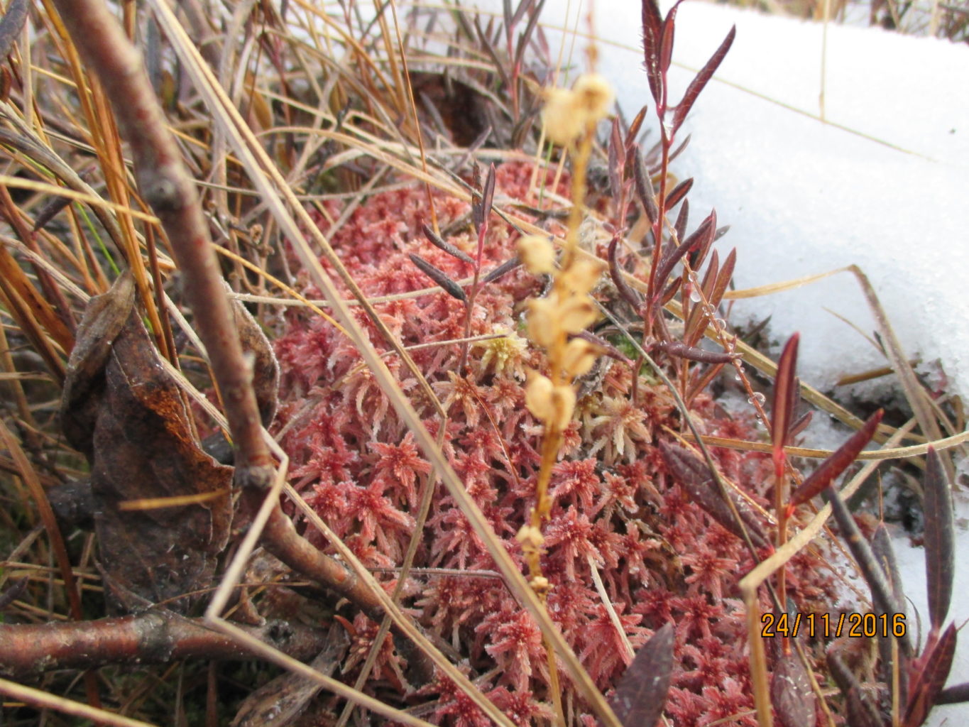 Valokuvaaja: yrjo lukkari