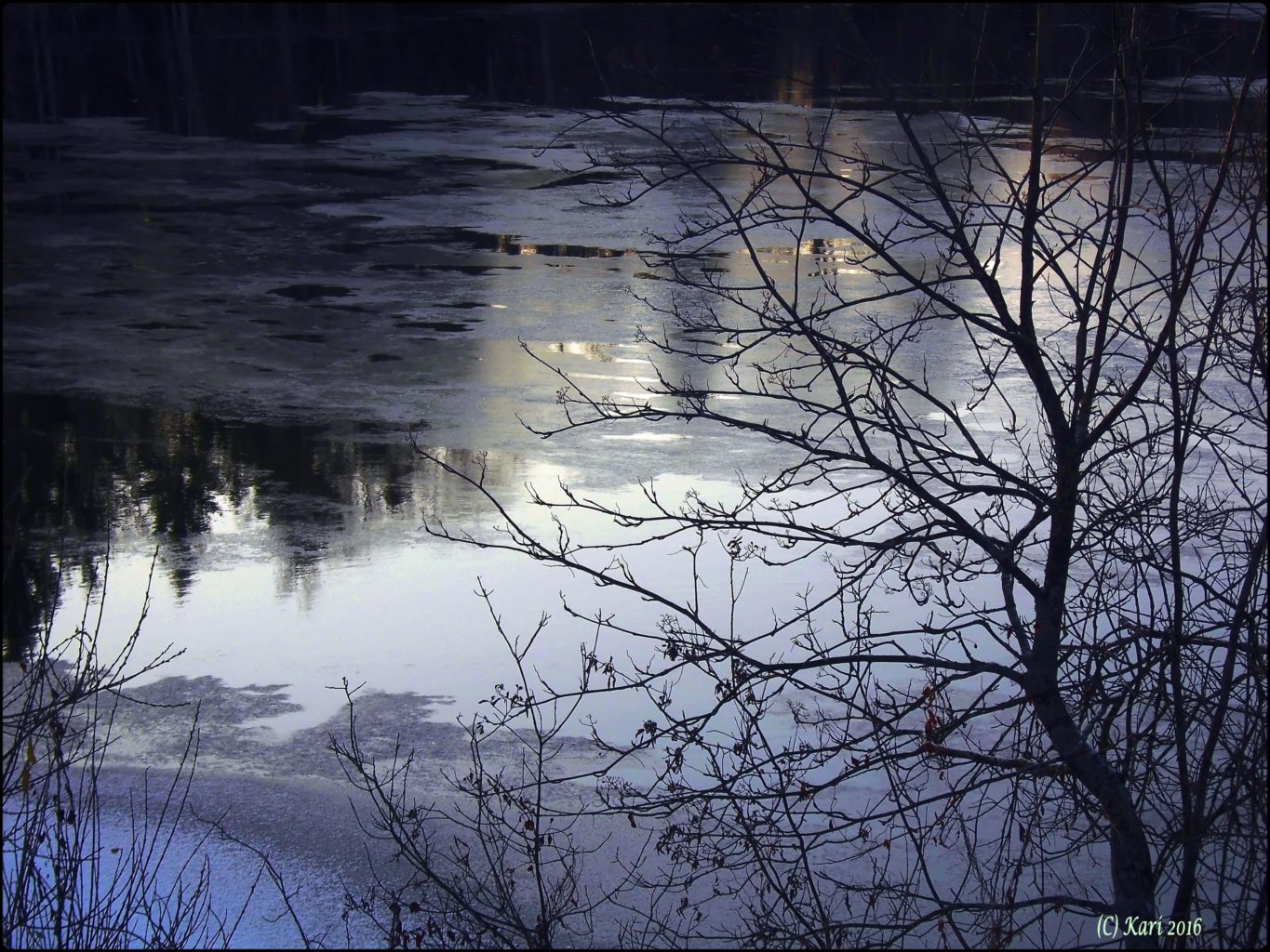 Valokuvaaja: Kari Saarinen