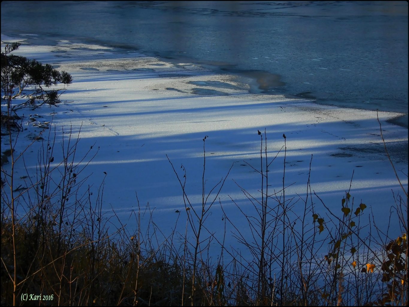 Valokuvaaja: Kari Saarinen