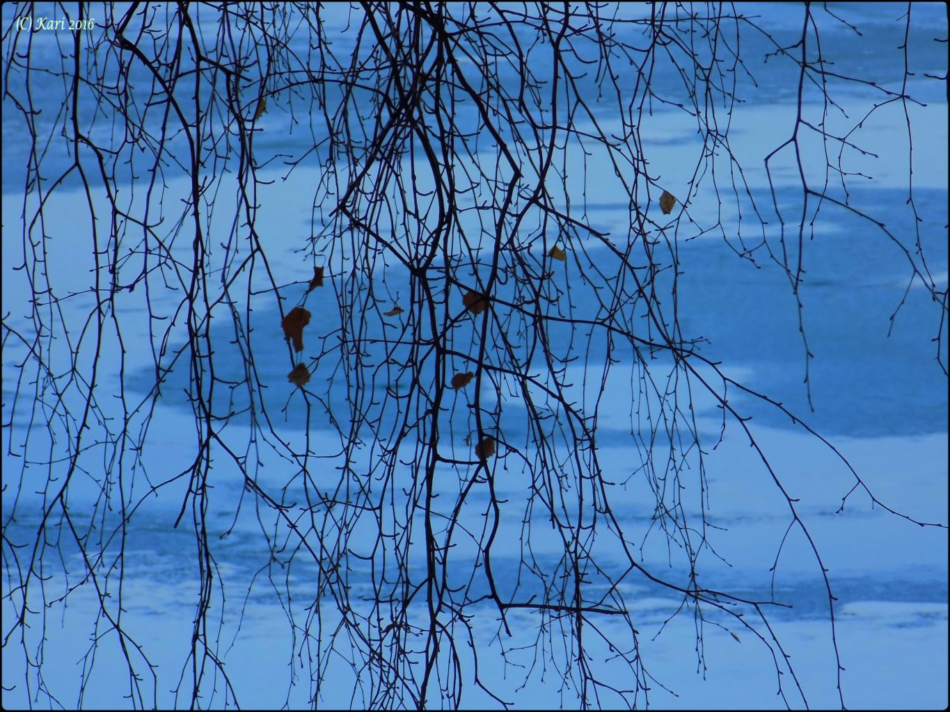 Valokuvaaja: Kari Saarinen