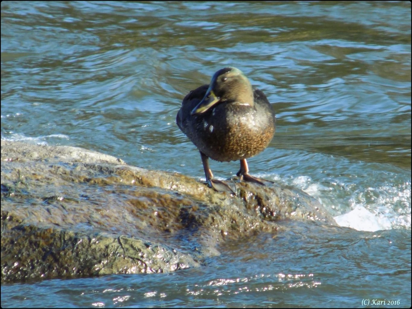 Valokuvaaja: Kari Saarinen