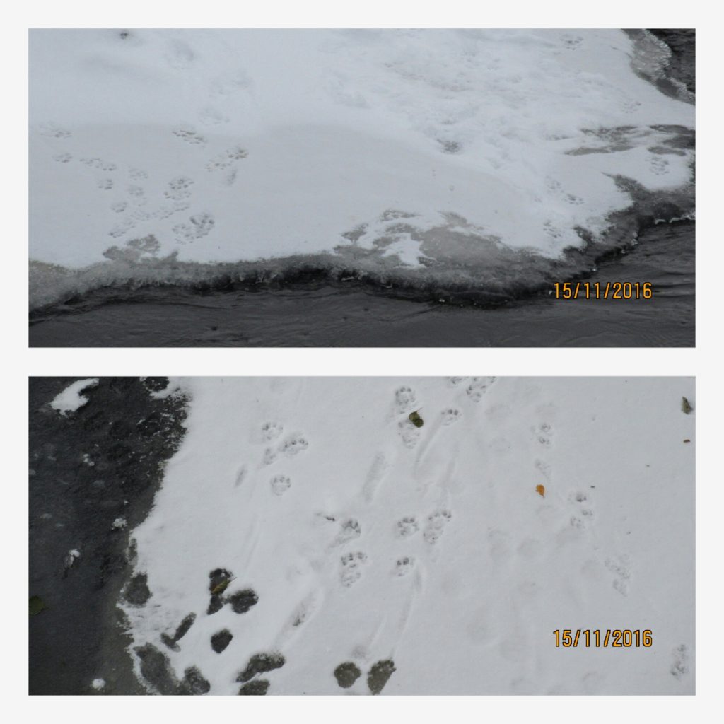 Valokuvaaja: Tuula Makkonen